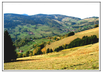 Herbst Wieden Scwarzwald